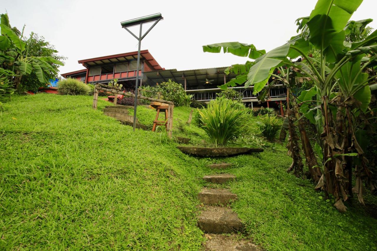 Toucan Lane Hotel And Restaurant Nuevo Arenal Εξωτερικό φωτογραφία